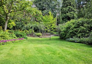 Optimiser l'expérience du jardin à Ervy-le-Chatel